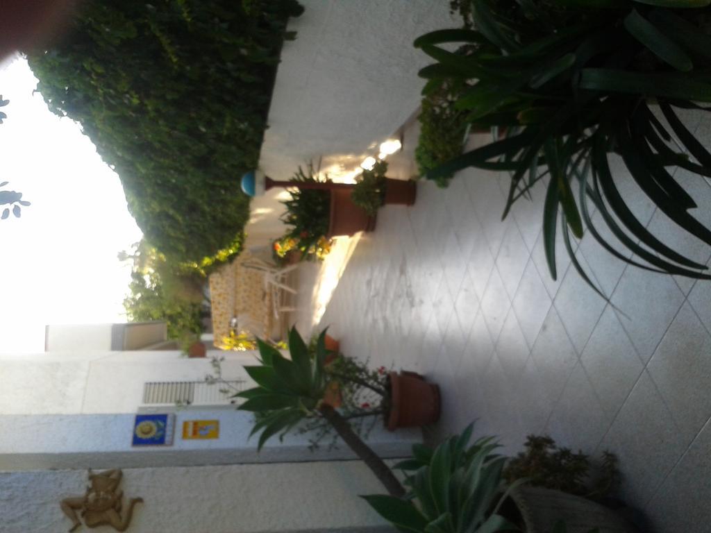 B&B Il Girasole Noto Buitenkant foto