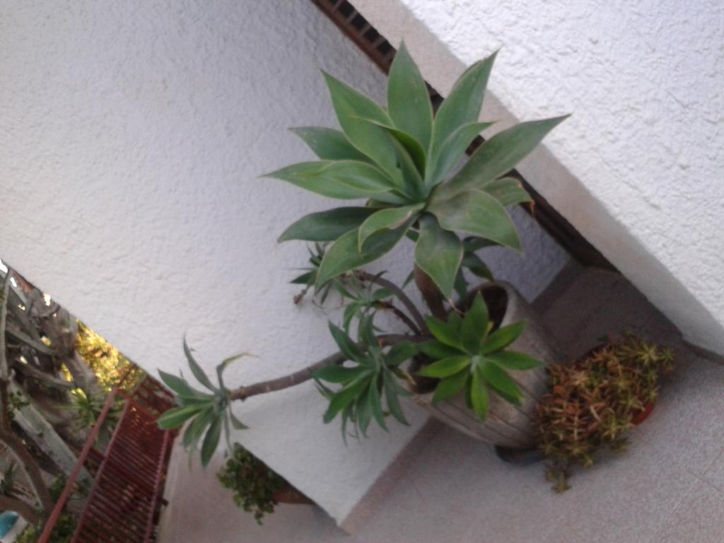 B&B Il Girasole Noto Buitenkant foto