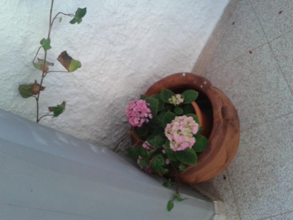 B&B Il Girasole Noto Buitenkant foto